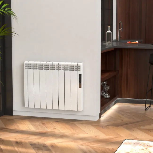 EONIQ radiator